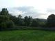 Picknickwiese1