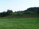 picknickwiese2