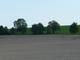 roggenfeld